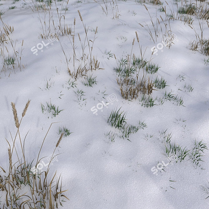 Snowy Grass Field: 3x3m Area with Custom Scatter 3D model image 1