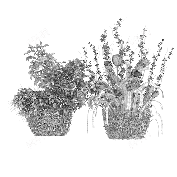 Botanical Bliss: Plant Collection Vol 50 3D model image 4