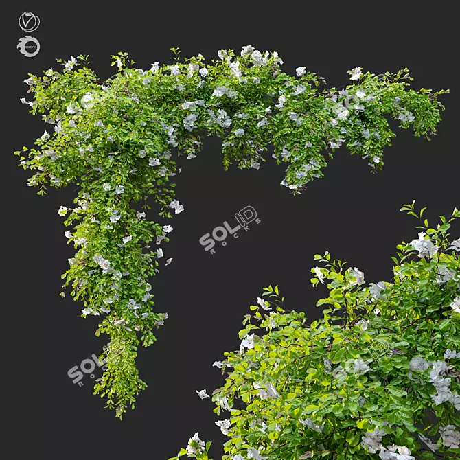 Hanging Greenery: Versatile and Detailed 3D model image 1