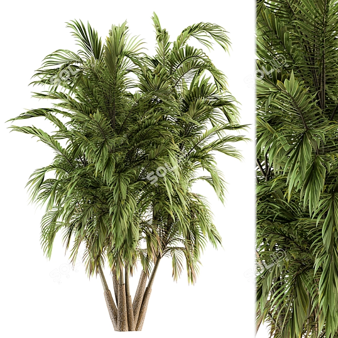 Tropical Bliss: Green Palm Bundle - Set of 32 3D model image 1