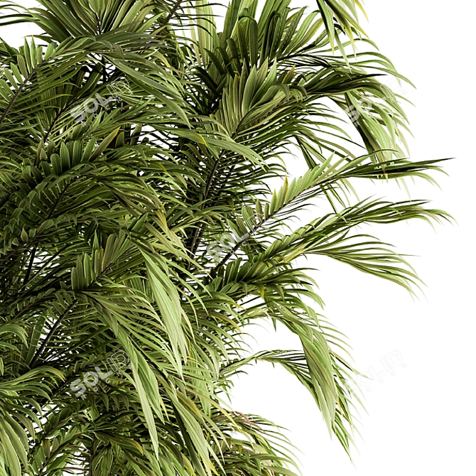 Tropical Bliss: Green Palm Bundle - Set of 32 3D model image 2