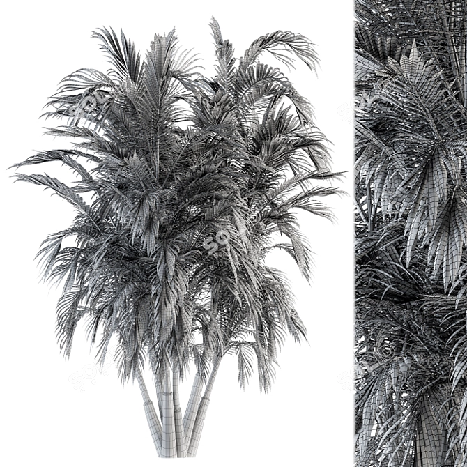 Tropical Bliss: Green Palm Bundle - Set of 32 3D model image 5