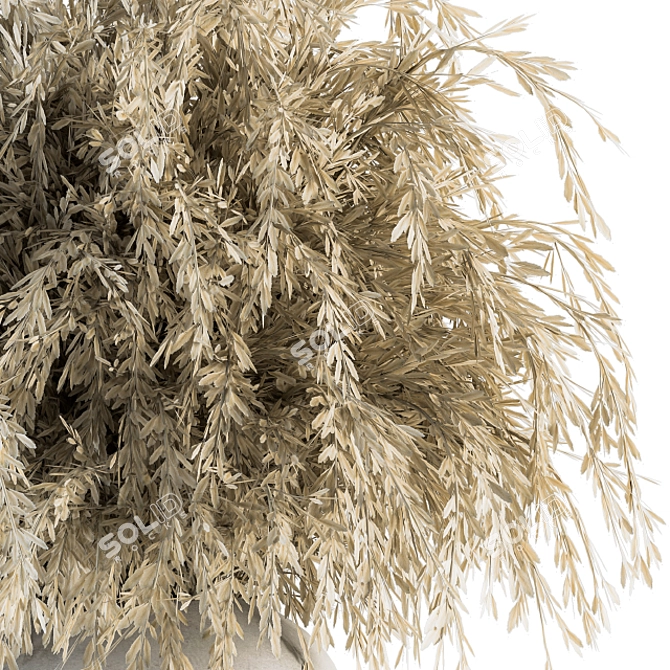 Everlasting Elegance: Dried Ruscus 3D model image 2