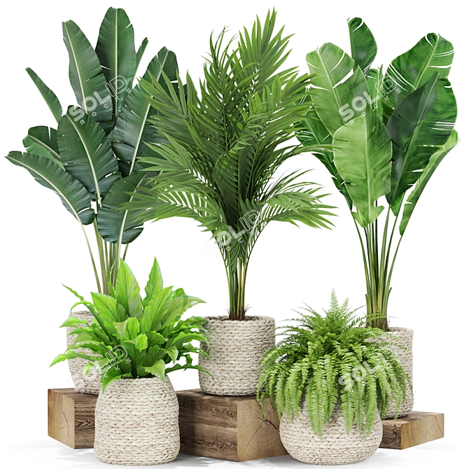 Lush Greenery: Plants Collection 438 3D model image 1