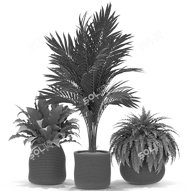 Lush Greenery: Plants Collection 438 3D model image 4