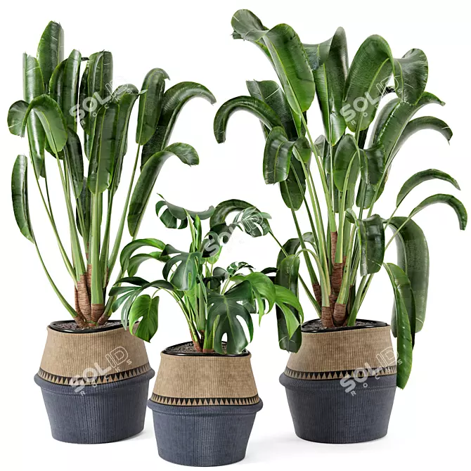 12-Piece Set: Indoor Plants in Wicker Pots 3D model image 1