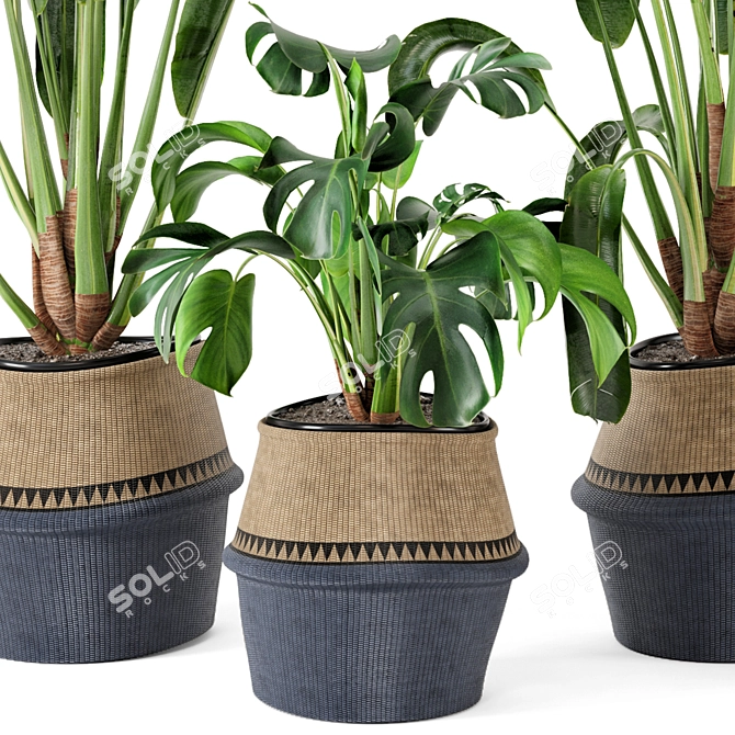 12-Piece Set: Indoor Plants in Wicker Pots 3D model image 2