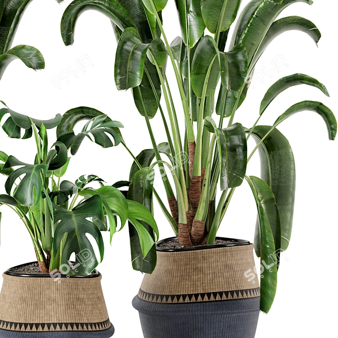 12-Piece Set: Indoor Plants in Wicker Pots 3D model image 3