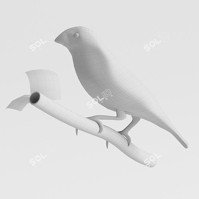 Central Australian Zebra Finch 3D model image 3