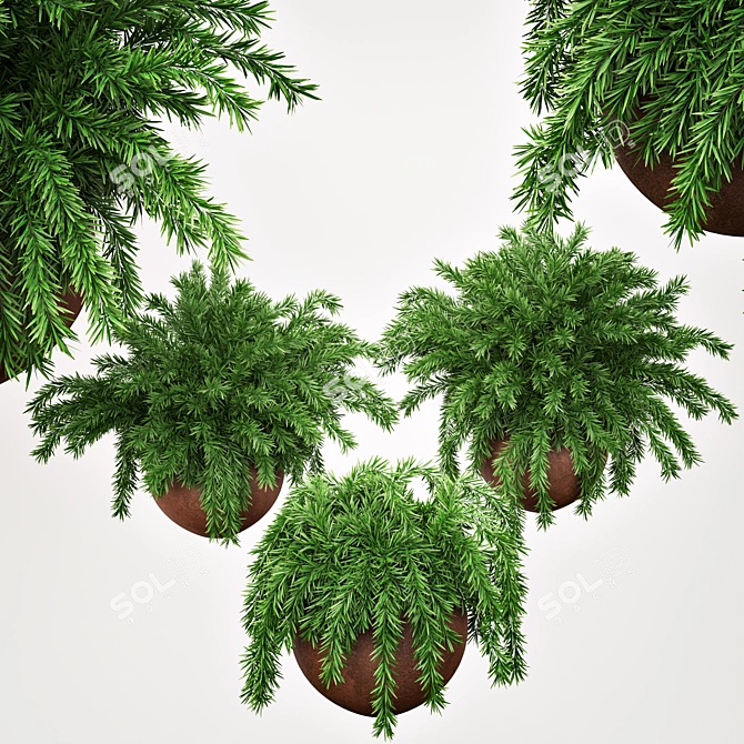 2020 Outdoor Plants Tree | Realistic Design 3D model image 4