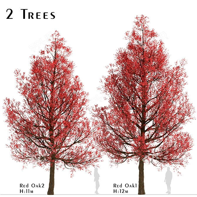 Premium Red Oak Tree Set (2 Trees) 3D model image 2