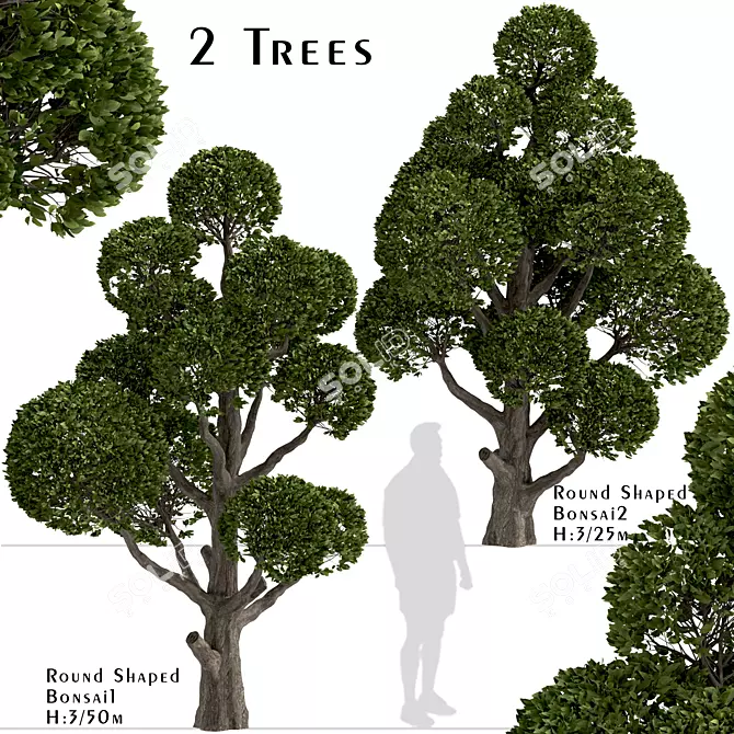 Round Shaped Bonsai Trees Duo (2 Trees) 3D model image 1