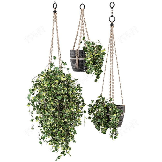 Rustic Concrete Pot with Macrame Indoor Plants - Set 17 3D model image 2