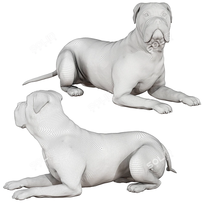  Lifelike Bullmastiff Dog Model 3D model image 5