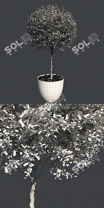 Spherical Benjamin Pot: Clean Topology, Real-World Scale! 3D model image 5