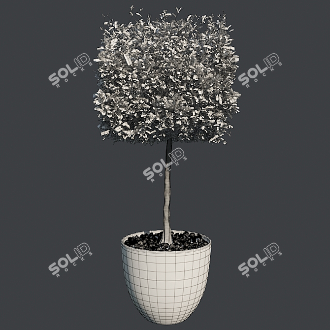 Benjamin Cubic Pot: Optimal, Clean Quad Topology 3D model image 5