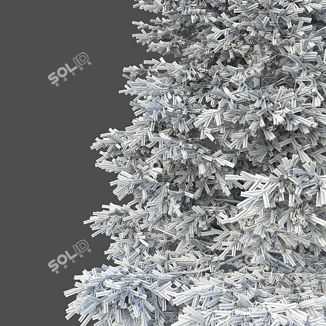 Realistic Red Spruce Tree - 3D Model 3D model image 4