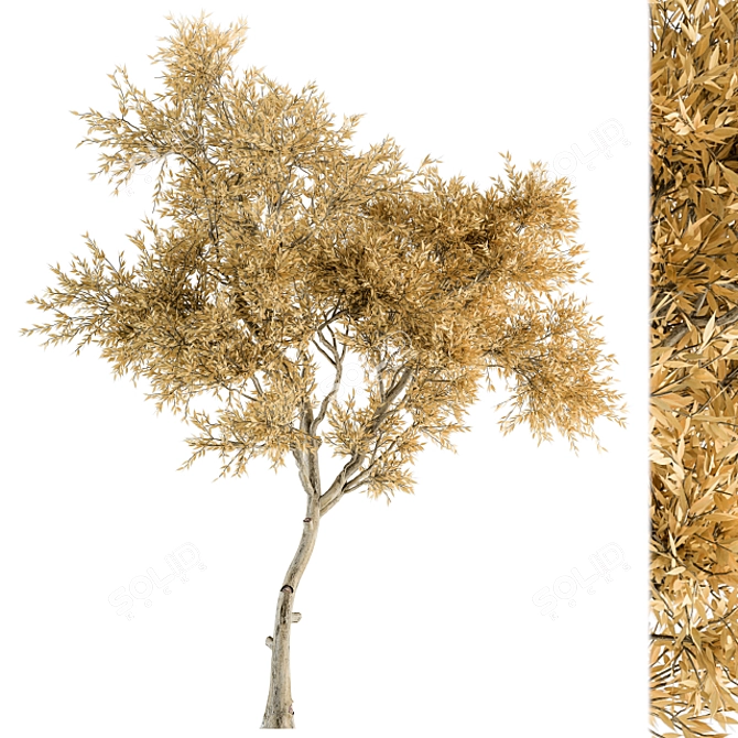 Autumn Leaves Tree Set 3D model image 1