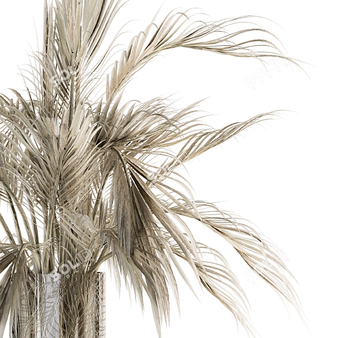 Palm Paradise Bouquet 3D model image 2