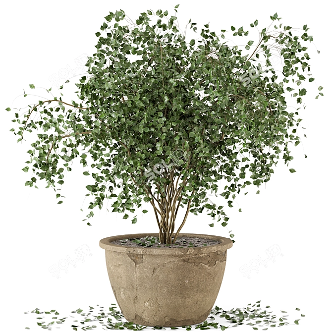 Rustic Concrete Pot Indoor Plants - Set of 20 3D model image 1