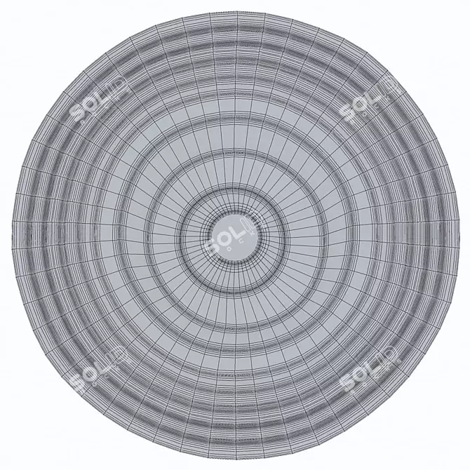 Modern Round Rug 150x150 3D model image 3