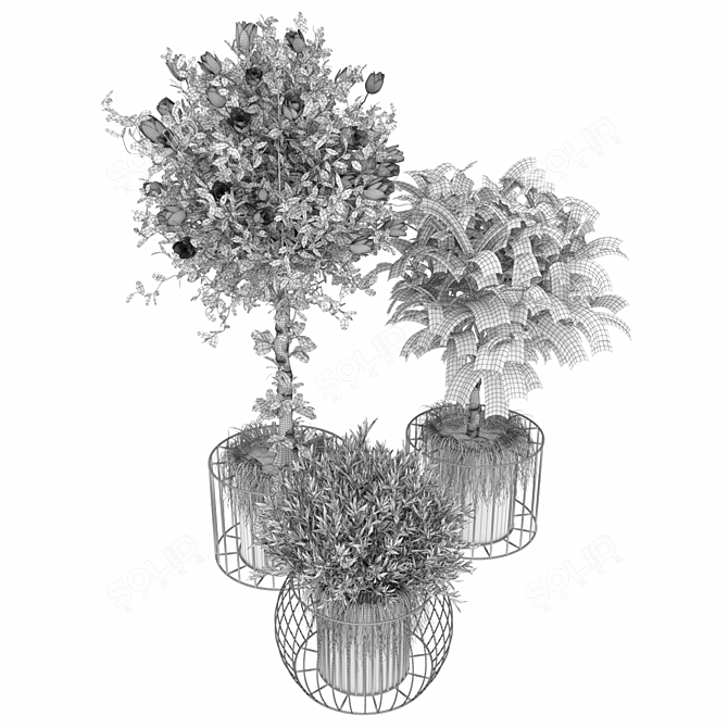 Sustainable Plant Collection: Volume 58 3D model image 3