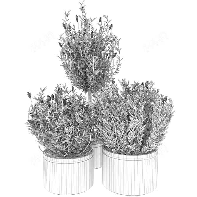Premium Plant Collection Vol. 60 3D model image 3