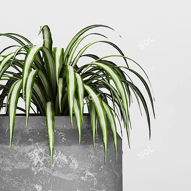 Rustic Grey Vase with Green Plants 3D model image 2