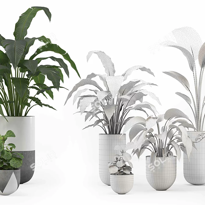 PBR-configured Indoor Plant Set 3D model image 2