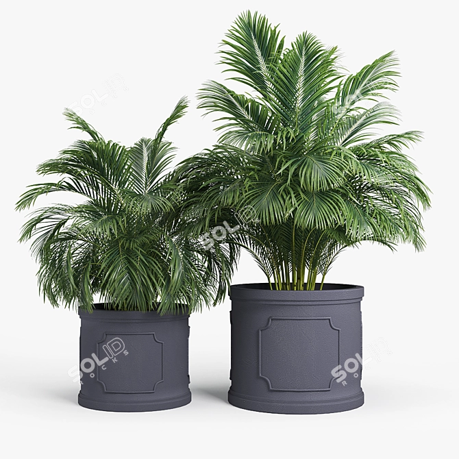 Birmingham Palm Planter: 3D Design 3D model image 1
