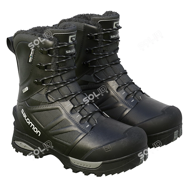 Ultimate Winter Performance: Salomon Toundra Pro 3D model image 1
