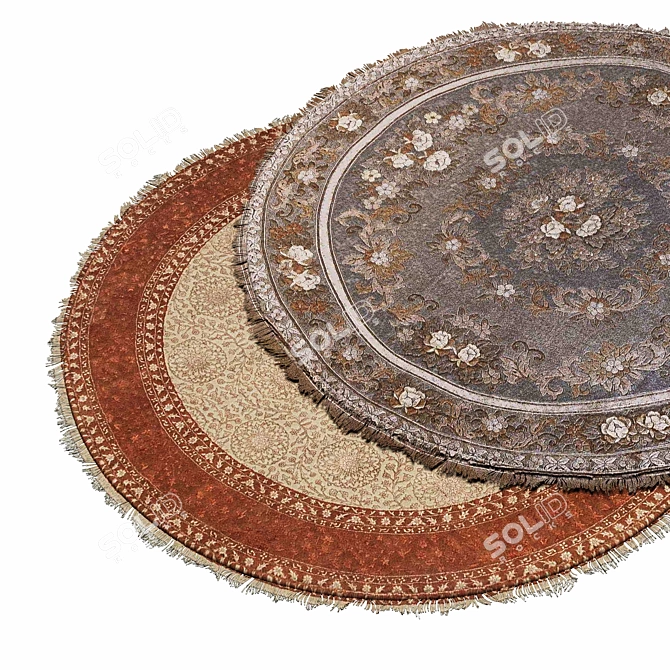 Cozy Circular Rugs: Transform Your Space! 3D model image 2