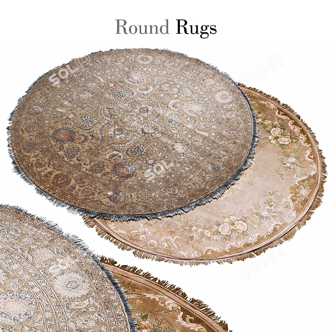 Cozy Circles: Round Rugs 014 3D model image 1