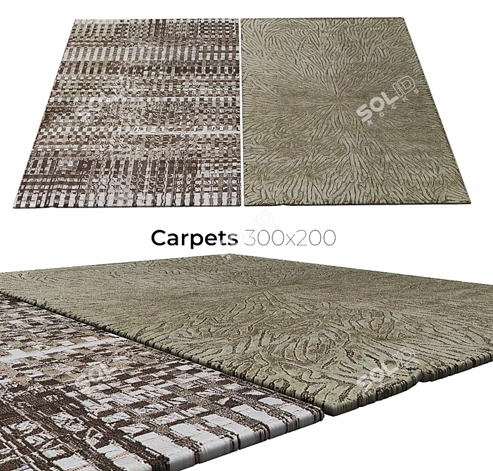 Elegant Interior Carpets 3D model image 1