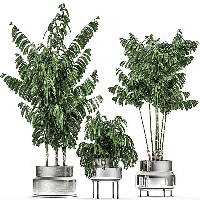 Tropical Chrome Plant Collection 3D model image 1