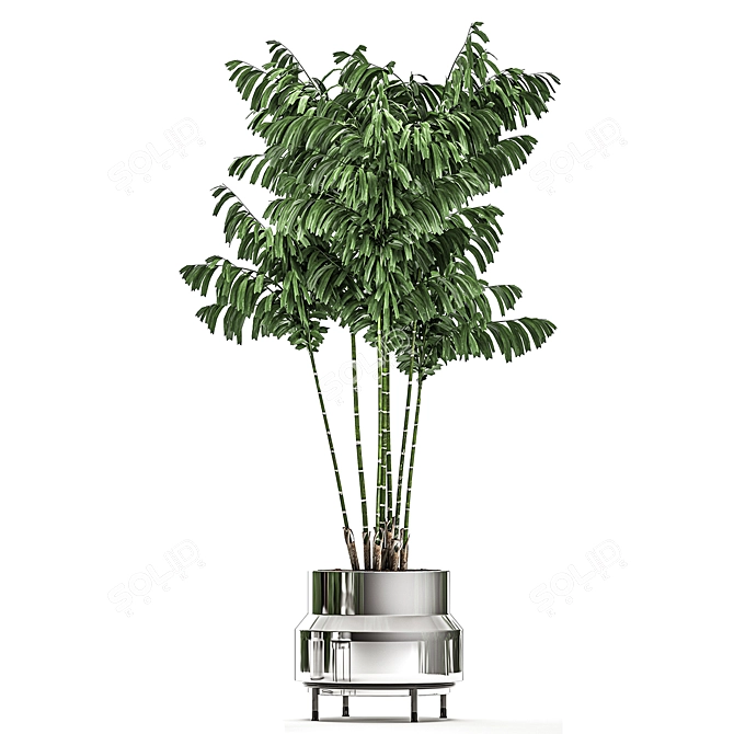 Tropical Chrome Plant Collection 3D model image 3