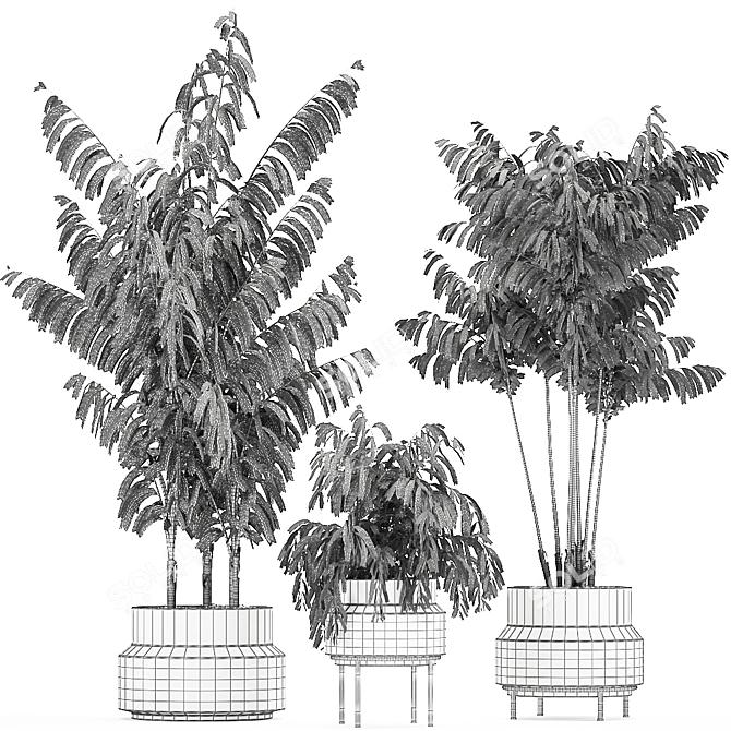 Tropical Chrome Plant Collection 3D model image 5
