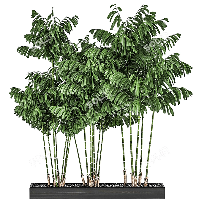 Tropical Plant Trio in Black Pots 3D model image 2