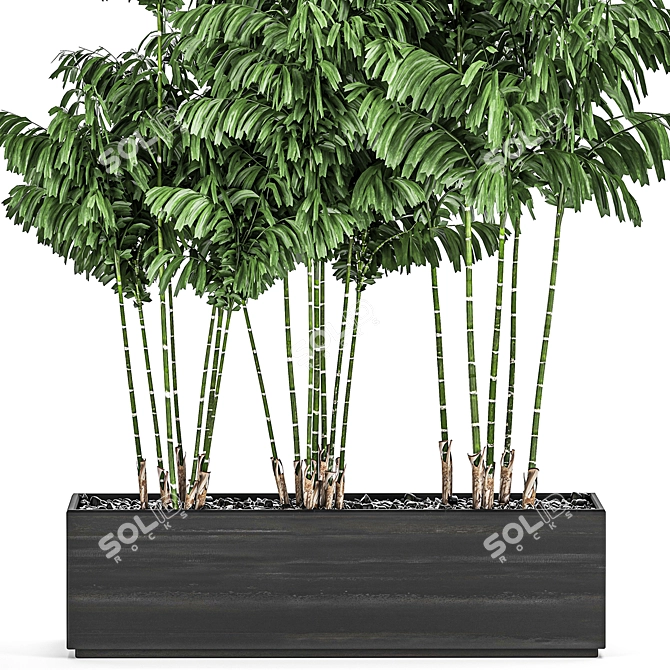 Tropical Plant Trio in Black Pots 3D model image 4