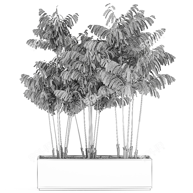 Tropical Plant Trio in Black Pots 3D model image 5