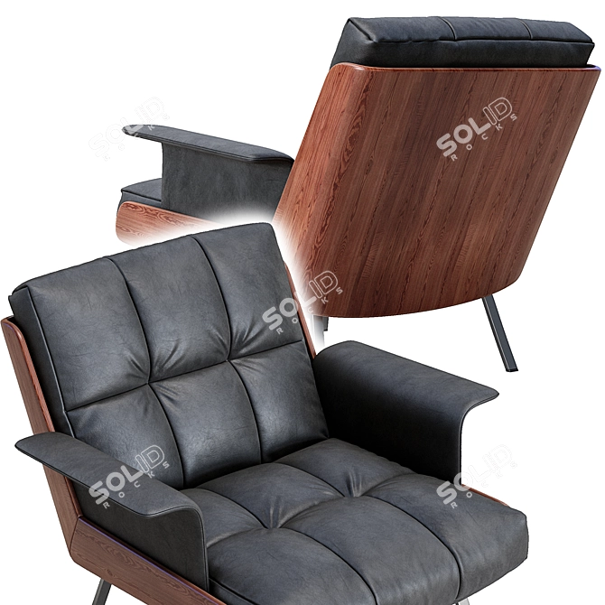 Luxury Daiki Leather Armchair 3D model image 2