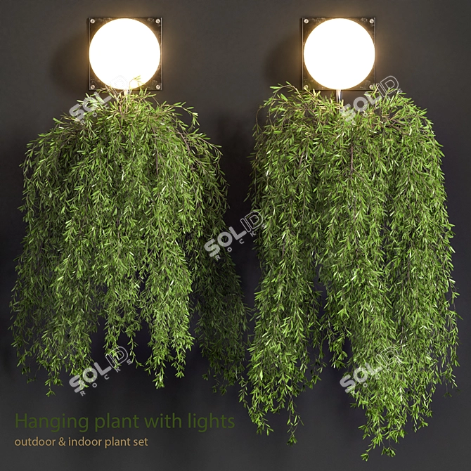Glowing Greenery: Hanging Plant with Lights 3D model image 1