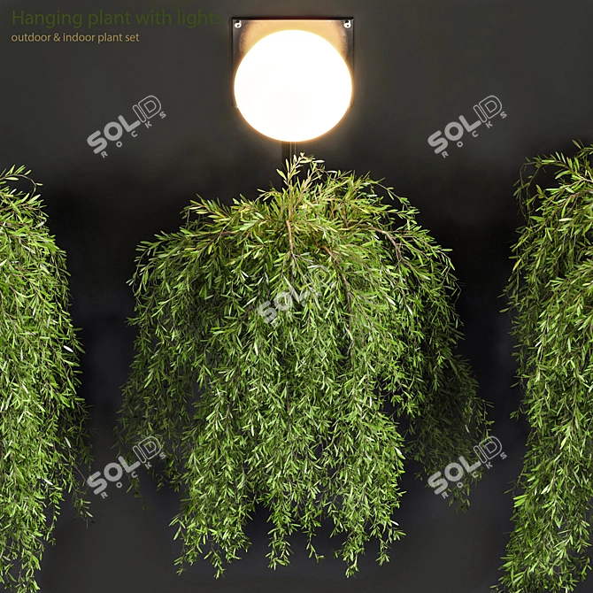 Glowing Greenery: Hanging Plant with Lights 3D model image 2
