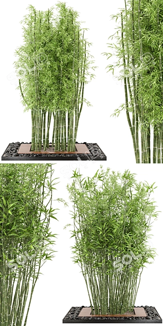 Bamboo Garden Set: Outdoor Plants 3D model image 3