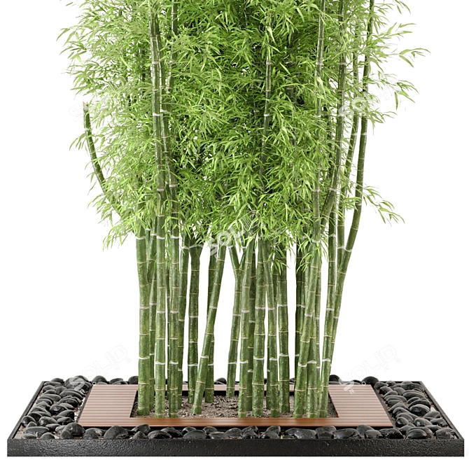 Bamboo Garden Set: Outdoor Plants 3D model image 4