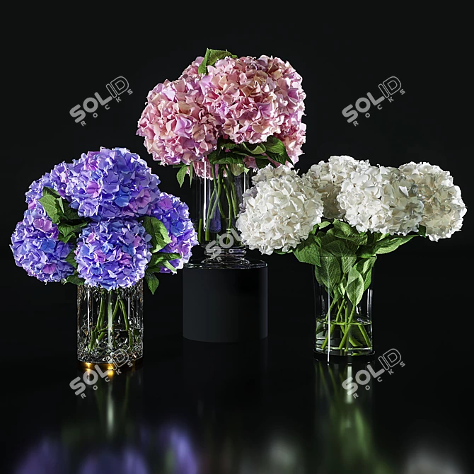 Hydrangea Blossom Set: Elegant Floral Decor 3D model image 1