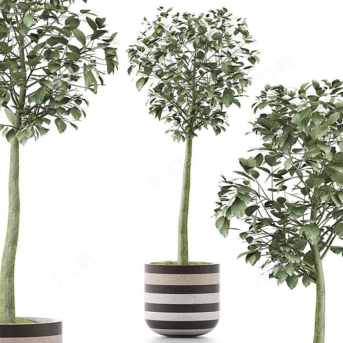 Heartleaf Indoor Plant: Elegant Corner Decor 3D model image 1