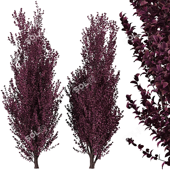 Crimson Pointe Plum Trees: Stunning Color and Columnar Form 3D model image 1