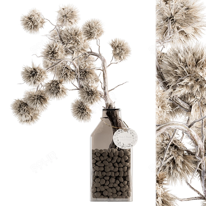 Stirlingia Dry Plant - Ethereal Beauty 3D model image 1