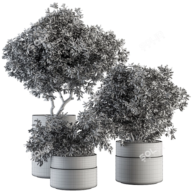 Ultimate Indoor Plant Collection - Potted Tree 3D model image 4